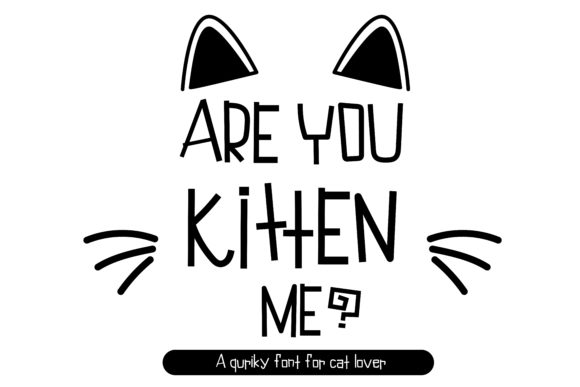 How the Are You Kitten Me Font Improved Our Campaign's Message